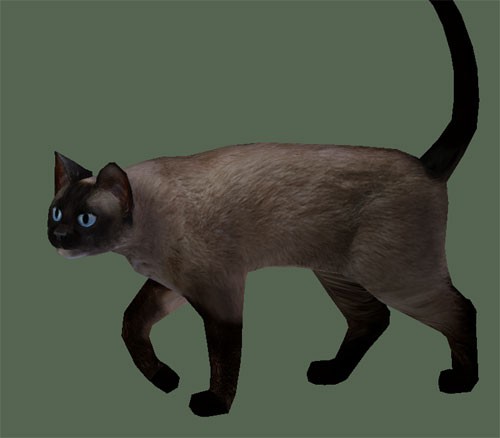 Lowpoly Siamese Cat preview image 1